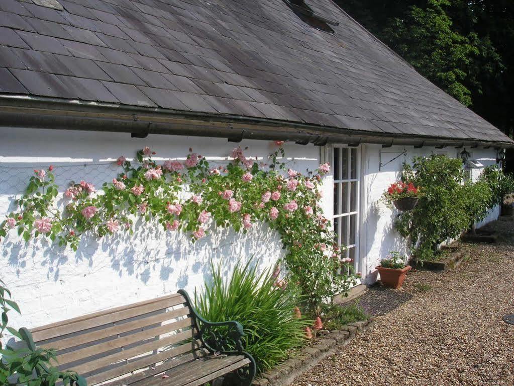 Detling Coachhouse Bed & Breakfast Maidstone Bagian luar foto