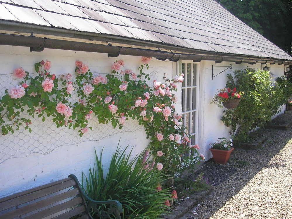 Detling Coachhouse Bed & Breakfast Maidstone Bagian luar foto